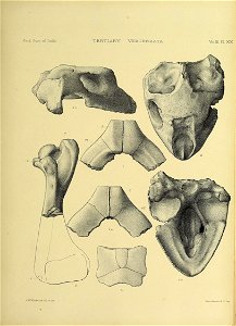 n372_w1150