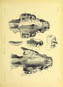 n536_w1150