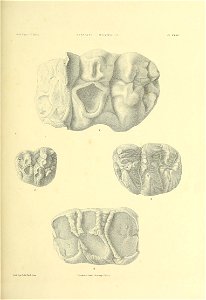 n502_w1150