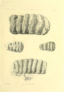 n562_w1150