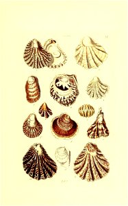 n190_w1150