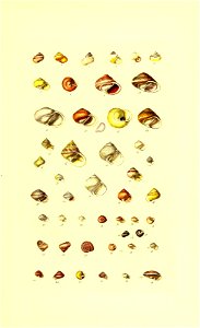 n10_w1150