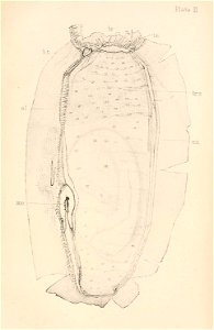 n176_w1150