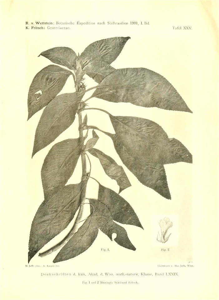 n418_w1150