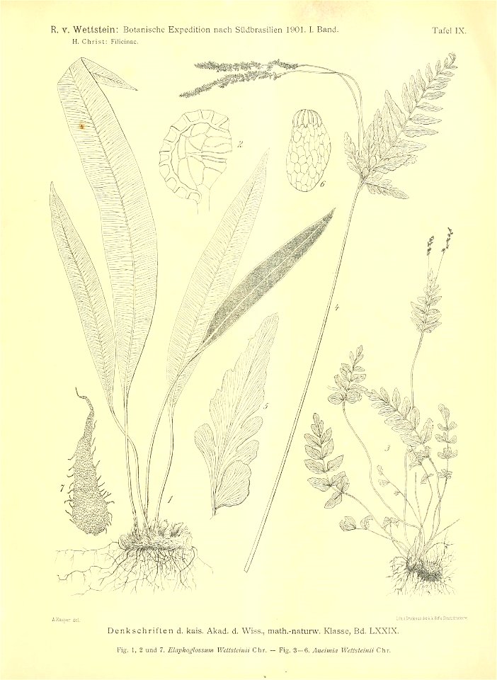 n354_w1150