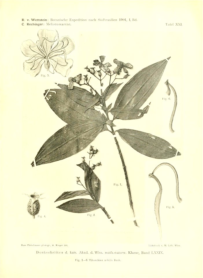 n402_w1150