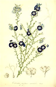 n122_w1150