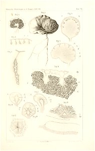n176_w1150