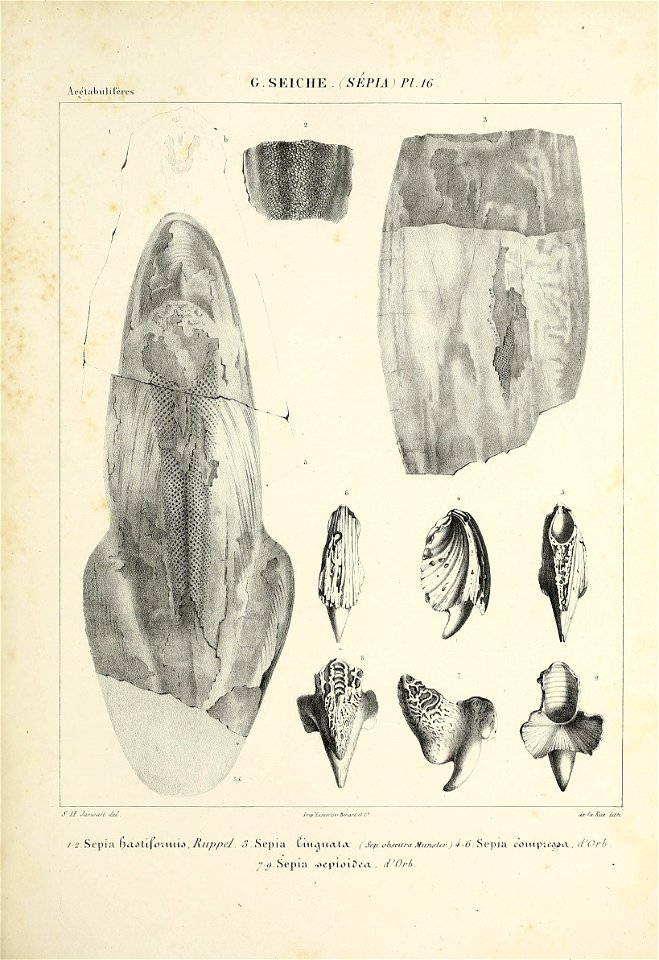 n168_w1150