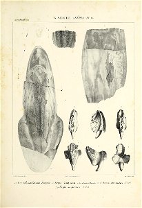 n168_w1150