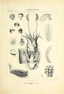 n138_w1150