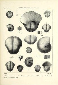 n108_w1150