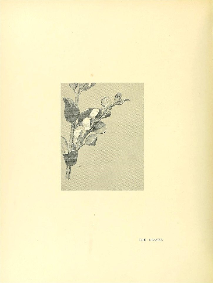 n365_w1150