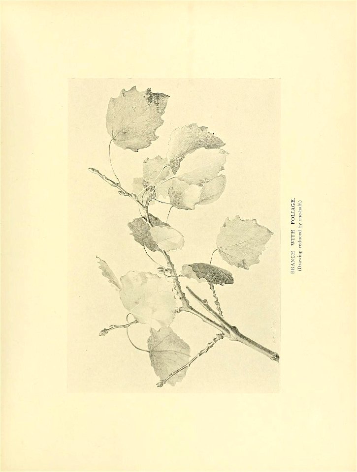 n328_w1150