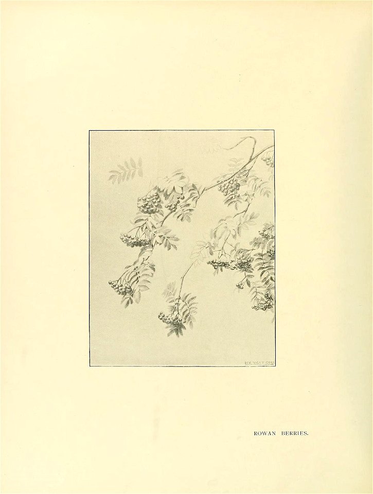 n201_w1150