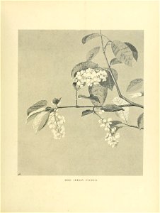 n146_w1150