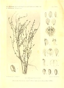 n422_w1150