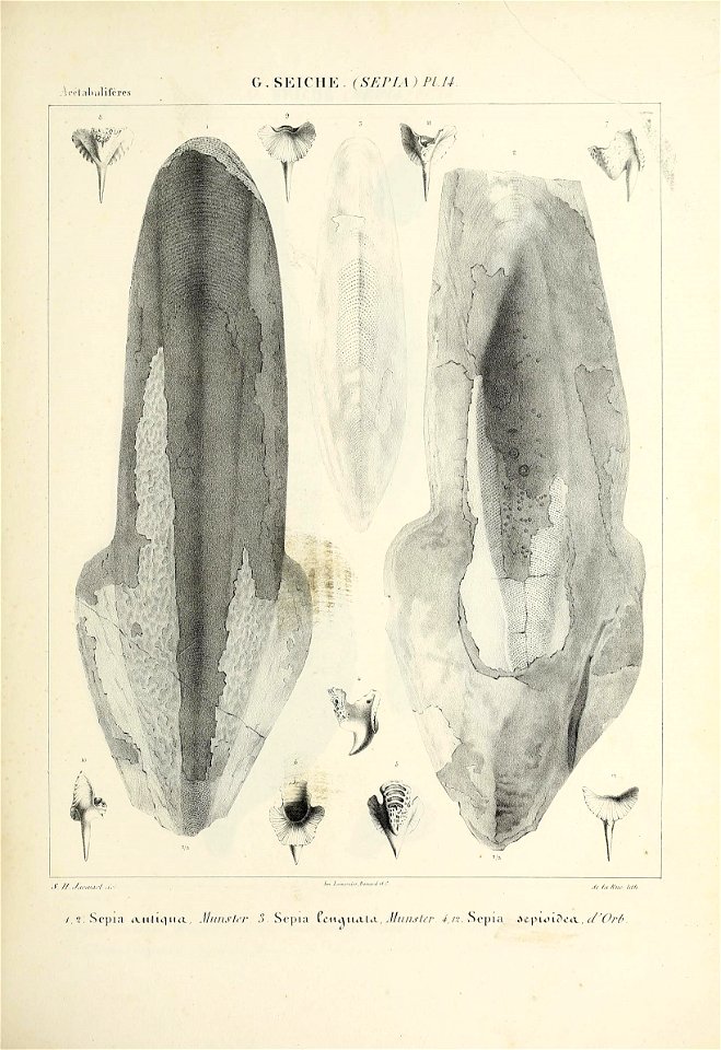 n164_w1150