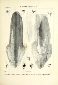 n164_w1150