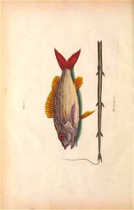 n57_w1150