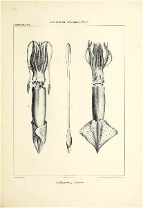 n220_w1150