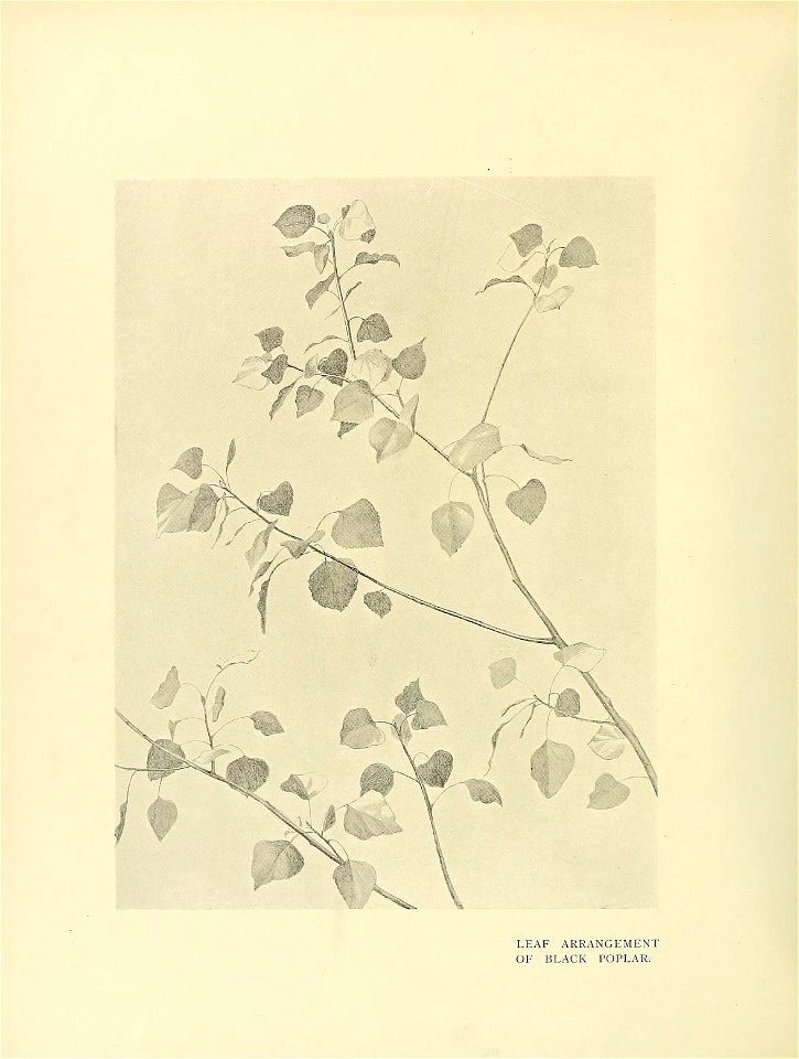 n273_w1150