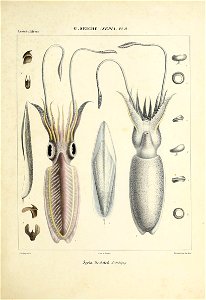 n158_w1150
