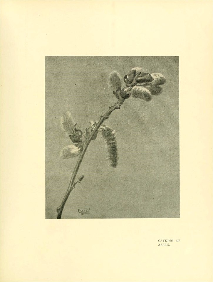 n314_w1150