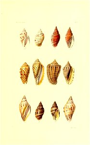 n114_w1150