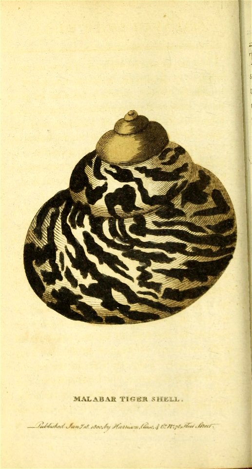 n423_w1150