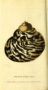 n423_w1150