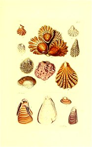 n192_w1150