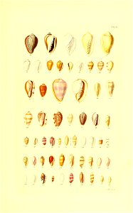 n162_w1150