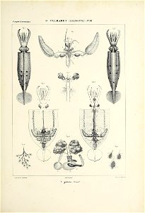 n260_w1150