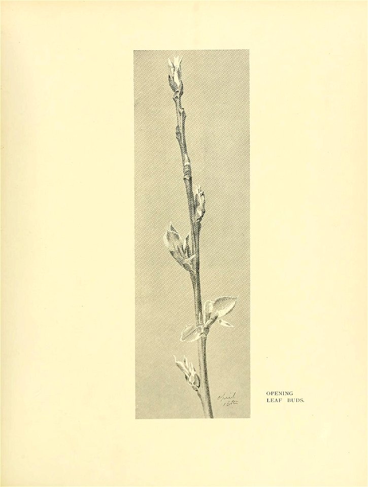n288_w1150