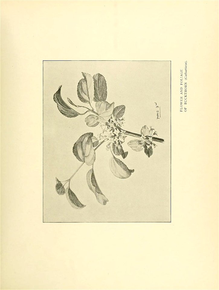 n50_w1150