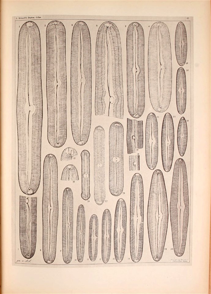 n216_w1150