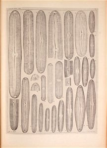 n216_w1150