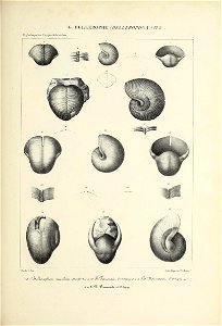 n104_w1150