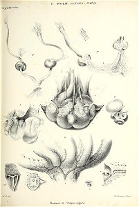n44_w1150
