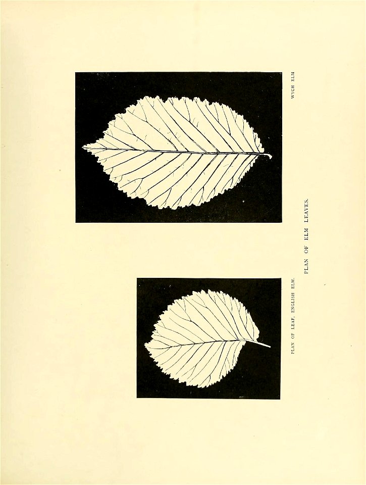 n196_w1150