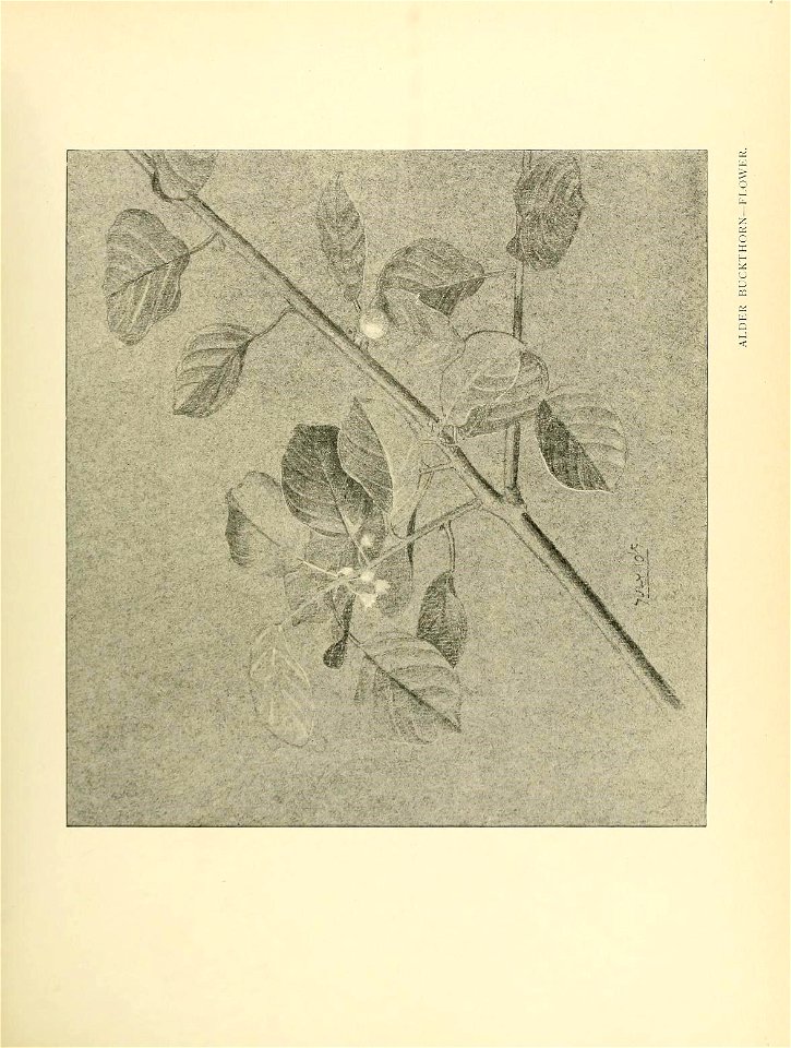 n44_w1150