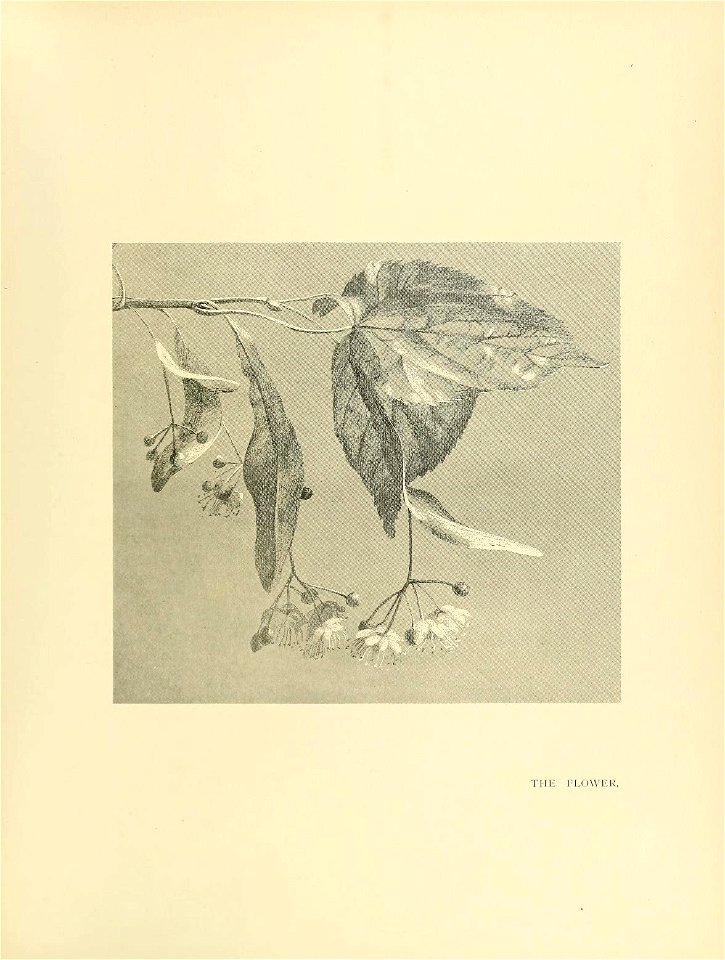 n352_w1150