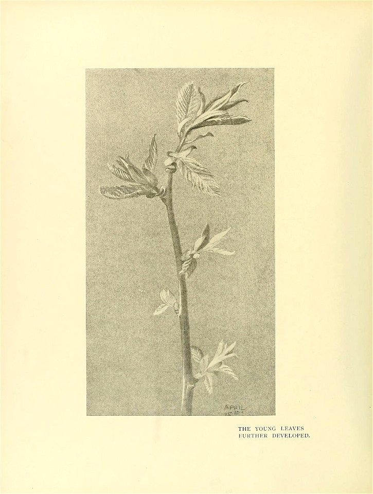 n237_w1150