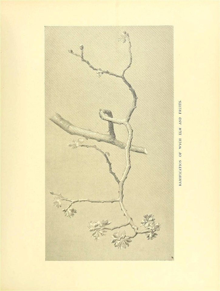 n186_w1150