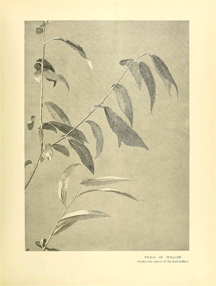 n88_w1150