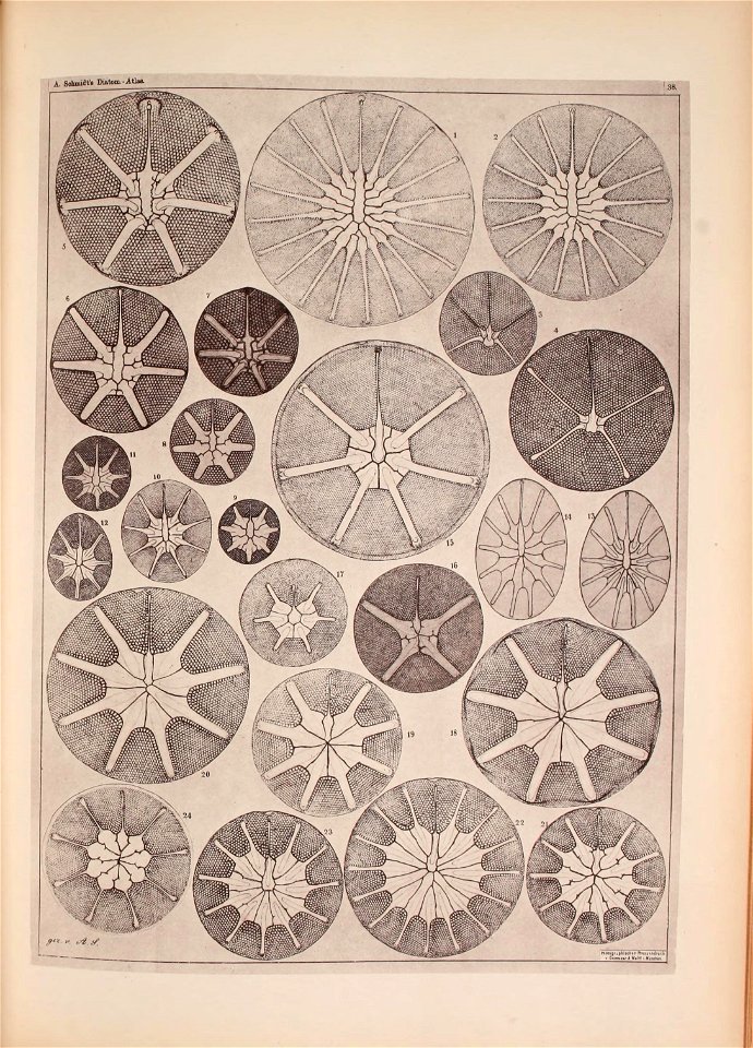 n196_w1150