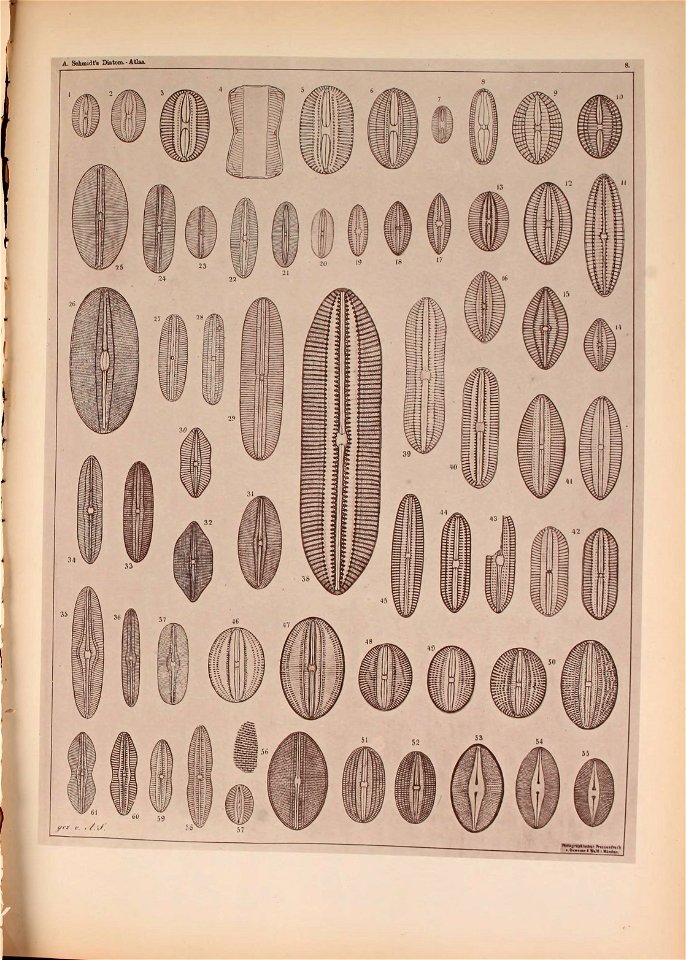 n46_w1150