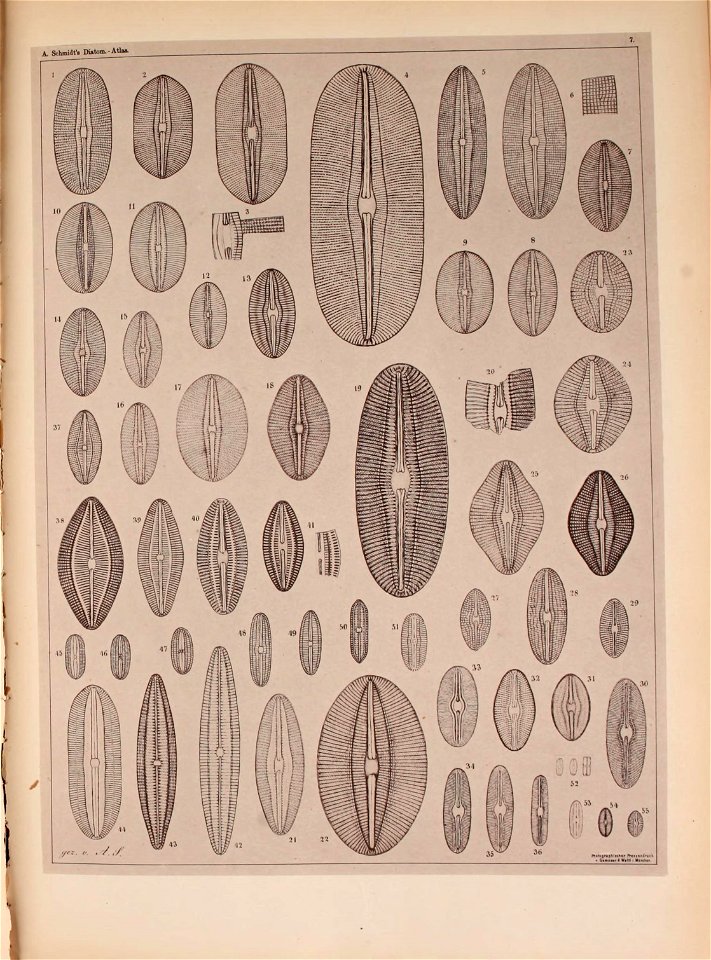 n42_w1150