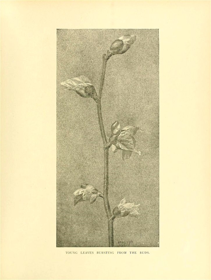 n348_w1150